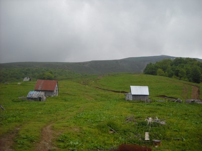 139. Okolí NP Biogradská Gora.jpg